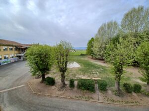 cortile della scuola primaria di villafranca con spazioso giardino verde e alberi
