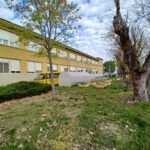 cortile della scuola primaria di villafranca con spazioso giardino verde e alberi